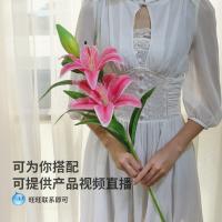 uploads/erp/collection/images/Home Garden/CongDing/XU0612523/img_b/XU0612523_img_b_4